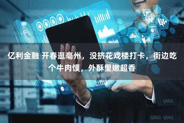 亿利金融 开春逛亳州，没挤花戏楼打卡，街边吃个牛肉馍，外酥里嫩超香
